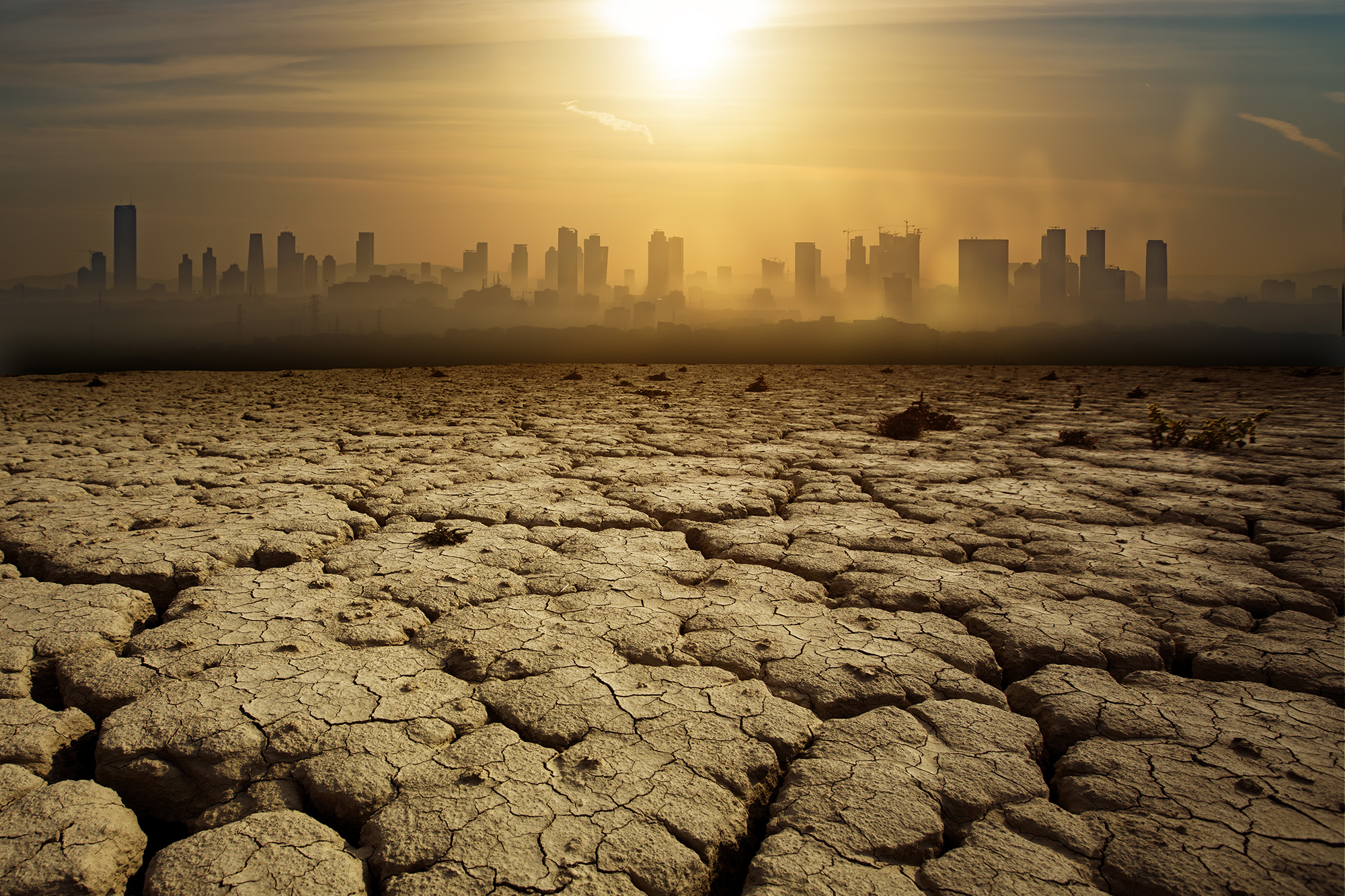 What Will Climate Change Be Like In 2050