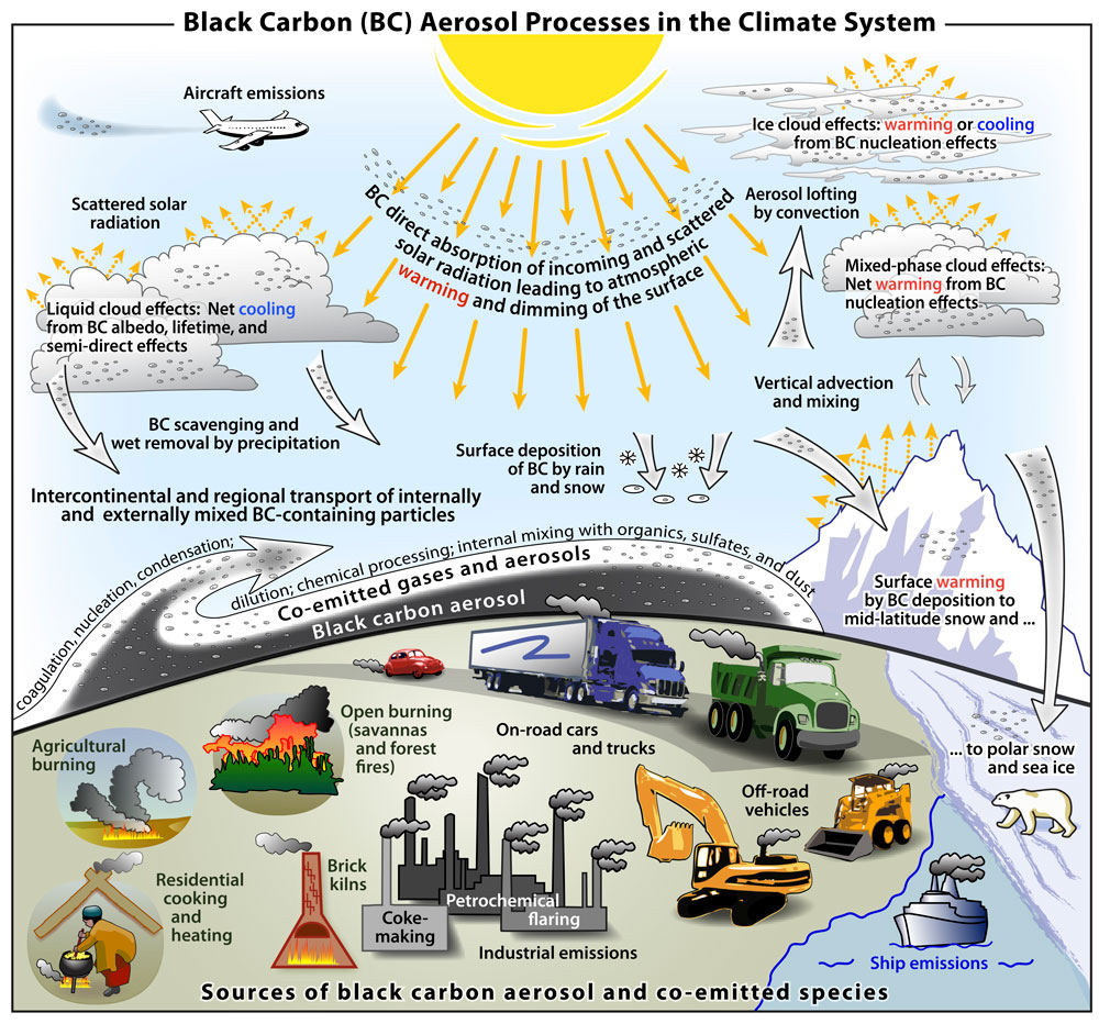 What Cause Global Climate Change