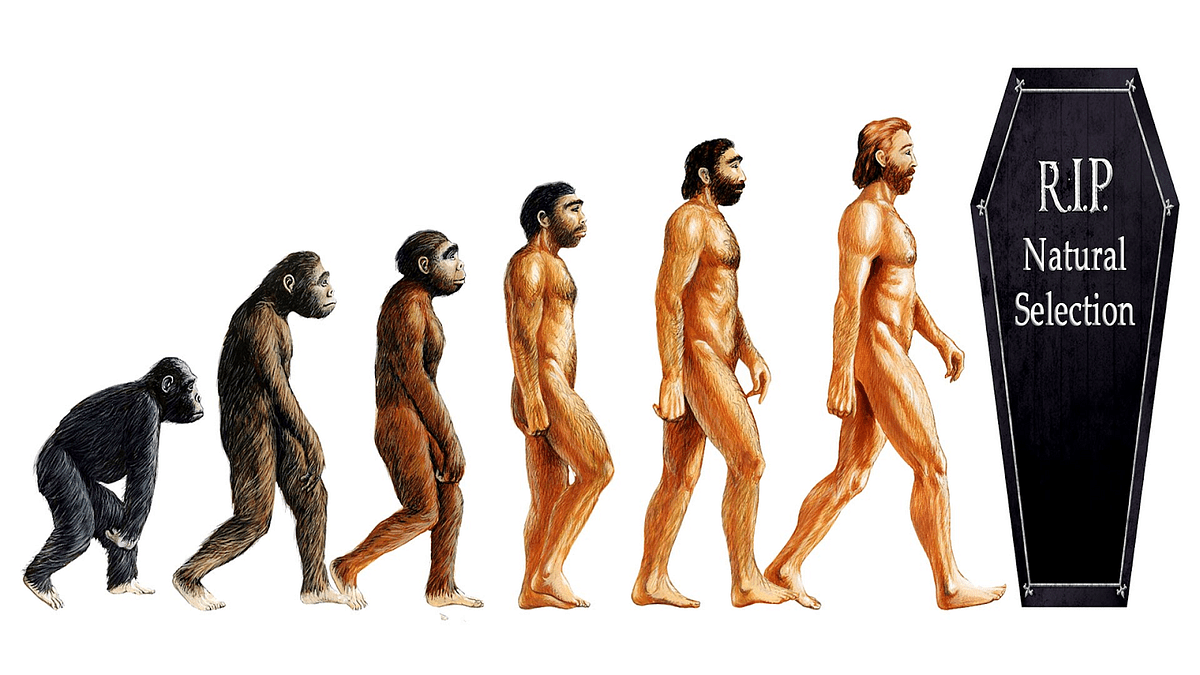 How Could Humans Evolve In The Future
